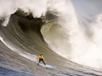 IM竞技体育平台-格纳布里一锤定音，新西兰战术完胜哥斯达黎加晋级在望