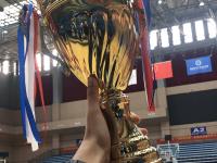 IM电竞APP-河南男篮首次获得本赛季胜利