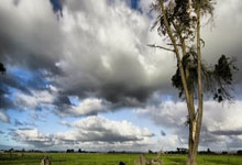 LOL-中国女足击败对手，晋级下一轮比赛