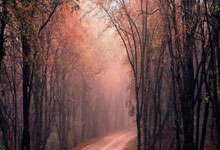 IM电竞APP-延边富德对手石家庄永昌，双方豪强对决谁能胜出？的简单介绍