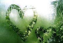 IM电竞APP-延边富德对手石家庄永昌，双方豪强对决谁能胜出？的简单介绍