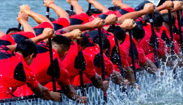 球队再次夺冠，取得辉煌成绩