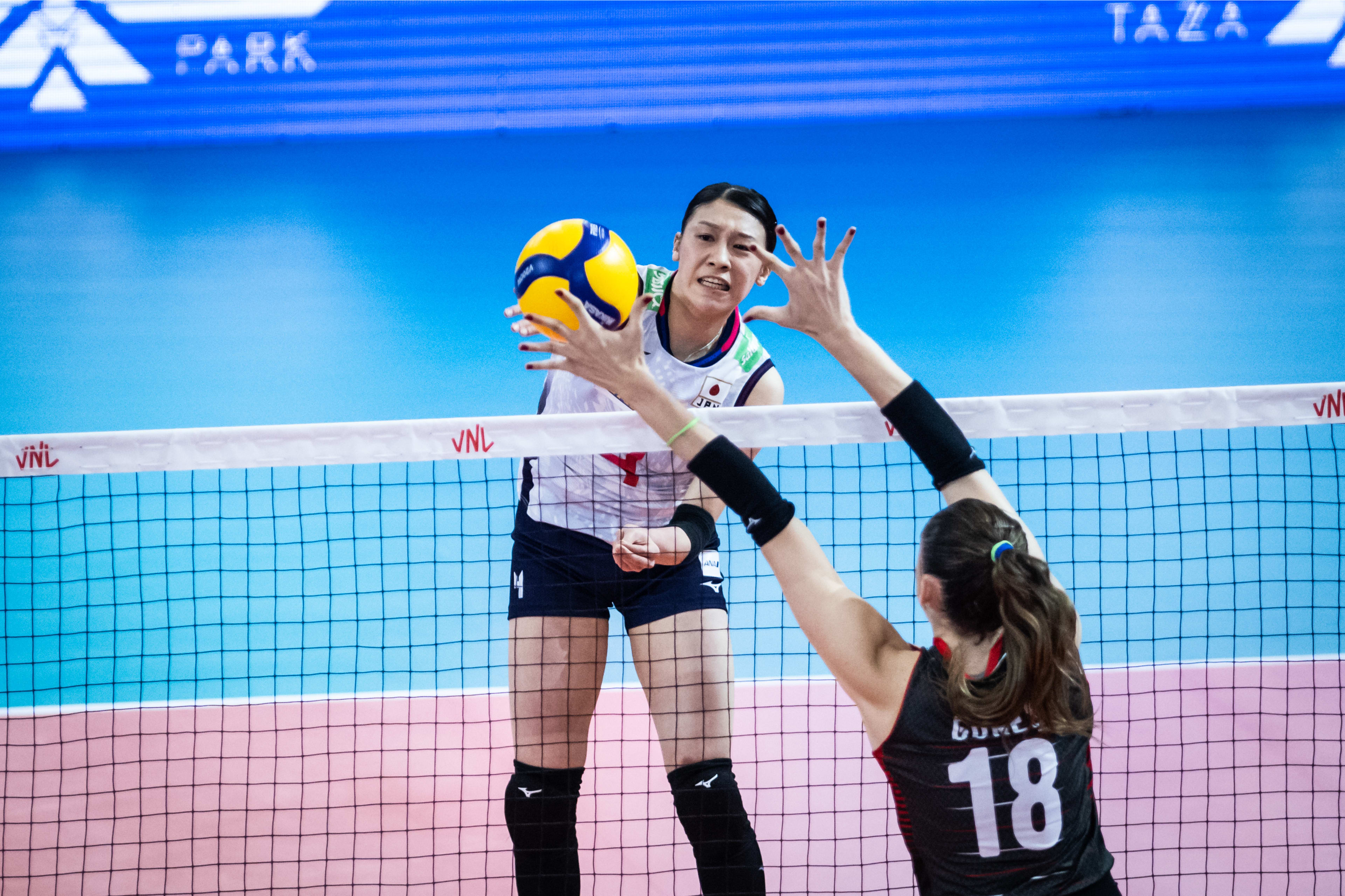 加拿大血洗土耳其，格纳布里三分雨点燃全场的简单介绍