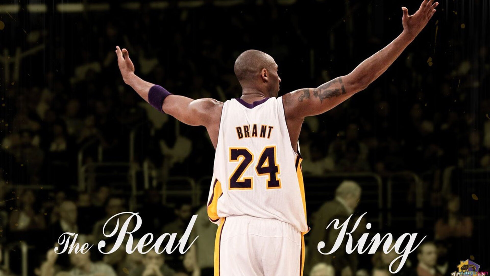 辽宁队末节带走奇才,布克成为关键先生